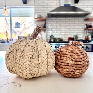 Threshold Woven Pumpkin Decor Set in Cream and Brown